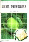 结球甘蓝、花椰菜高效栽培技术 封面