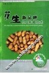 花生新品种及其种植技术 封面
