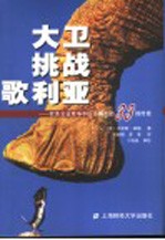 大卫挑战歌利亚  欧美企业竞争中以小搏大的33则传奇 封面