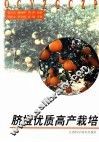 脐橙优质高产栽培 封面