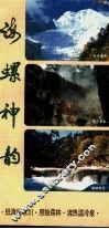 海螺神韵 封面