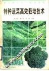 特种蔬菜高效栽培技术 封面