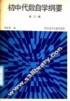 初中代数自学纲要  第2册 封面