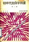 初中代数自学纲要  第3册 封面
