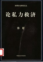 论私力救济 封面