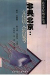 “非典”北京  文化切入的思考 封面