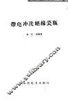 带电冲洗绝缘瓷瓶 封面