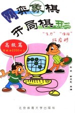 网弈象棋  开局棋形  高级篇 封面