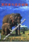 黄河象与远古动物  图集 封面