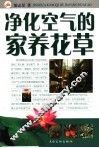 净化空气的家养花草 封面