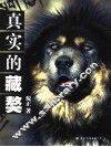 真实的藏獒 封面
