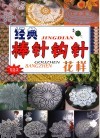 经典棒针钩针花样  精选款 封面