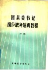 团县委书记岗位职务培训教程  下 封面