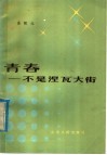 青春-不是涅瓦大街 封面