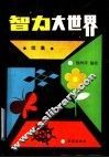智力大世界  续集 封面