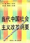 当代中国社会主义改革纲要 封面