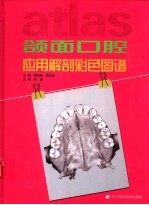 颌面口腔应用解剖彩色图谱  英汉对照 封面