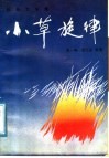 小草旋律  报告文学集 封面