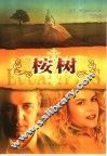 桉树 封面