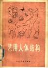 艺用人体结构 封面