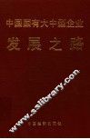 中国国有大中型企业发展之路 封面