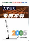 大学语文考前冲刺 封面