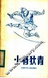 小将狄青 封面