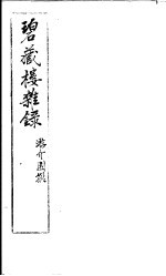 碧藏楼杂录 封面