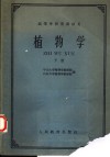 高等学校交流讲义  植物学  下 封面