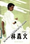林森火 封面