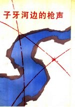 子牙河边的枪声 封面