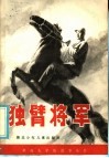 独臂将军  贺炳炎的故事 封面