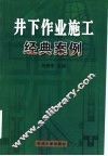 井下作业施工经典案例 封面