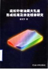 疏松砂岩油藏大孔道形成机理及渗流规律研究 封面