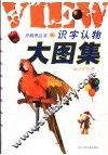 识字认物大图集  身边的世界 封面