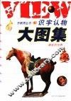 识字认物大图集  精彩的世界 封面
