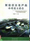 河南省文化产业合作项目指南 封面