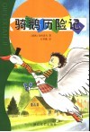骑鹅历险记 封面