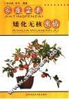 家庭盆栽矮化无核蜜橘 封面