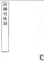 西陲竹枝词 封面