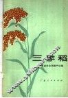 三季稻 封面