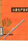 小麦生产技术 封面