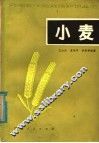小麦 封面