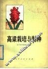 高梁栽培与制种 封面