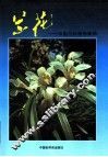 兰花  中国兰科植物集锦 封面