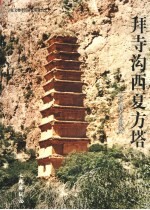 拜寺沟西夏方塔 封面