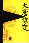 大唐惊变  中国式王朝衰落 封面