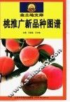 桃推广新品种图谱 封面