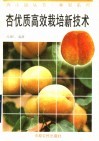 杏优质高效栽培新技术 封面