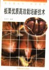 板栗优质高效栽培新技术 封面